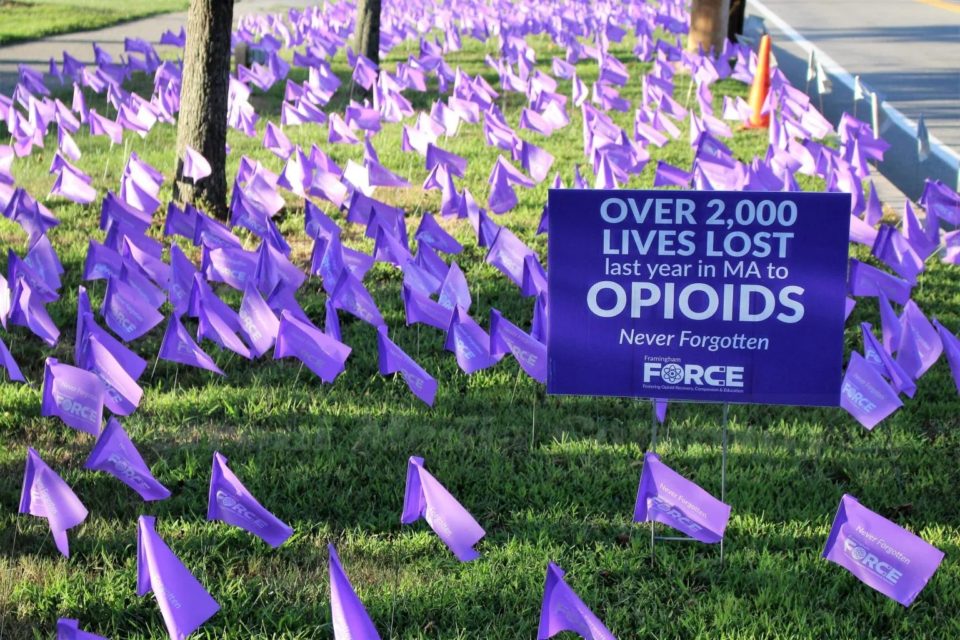 Framingham FORCE To Place Purple Flags On Centre Common In Memory Of Lives Lost In Opioid Epidemic | Framingham Source