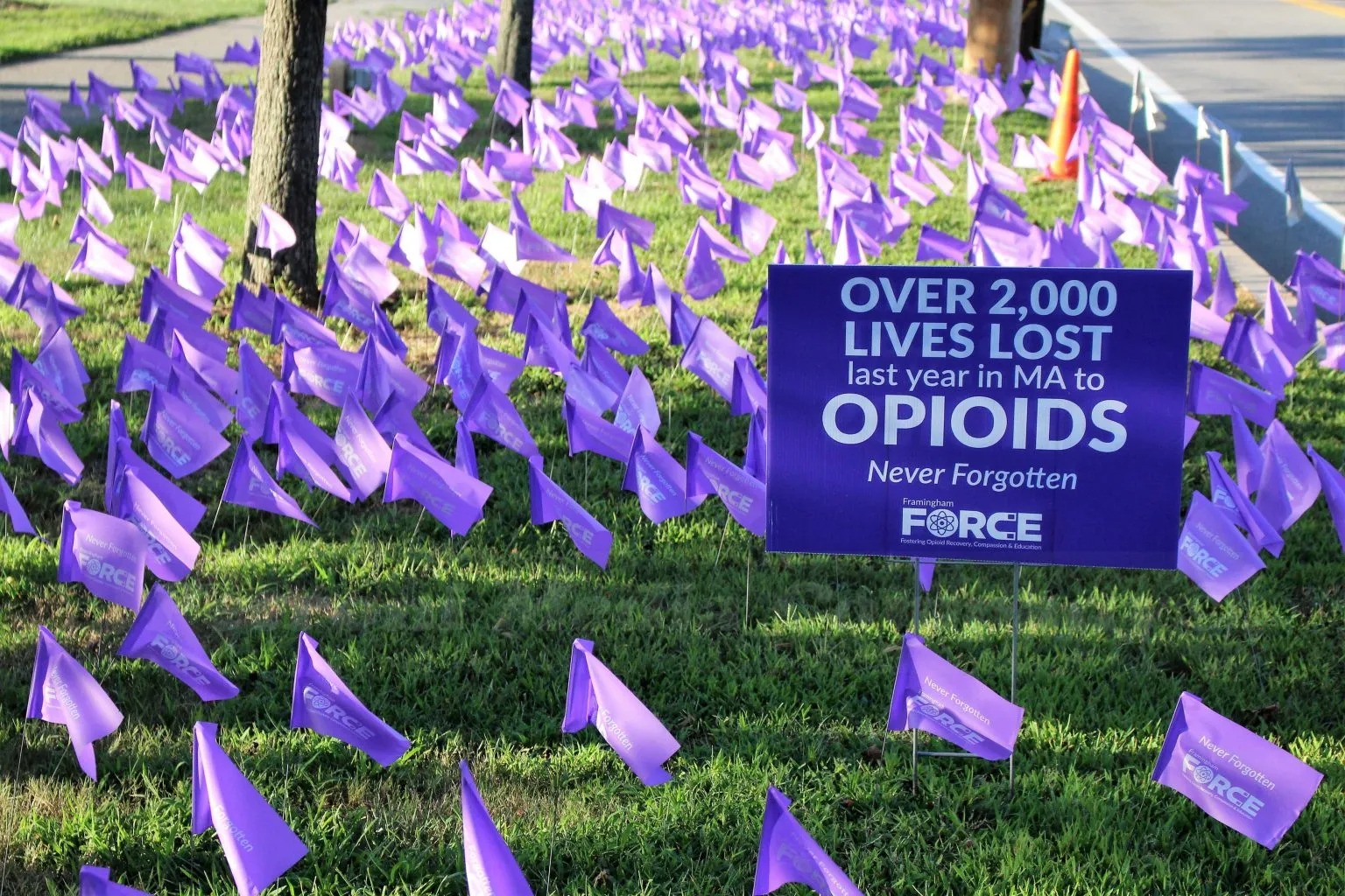 framingham-force-to-place-purple-flags-on-centre-common-in-memory-of